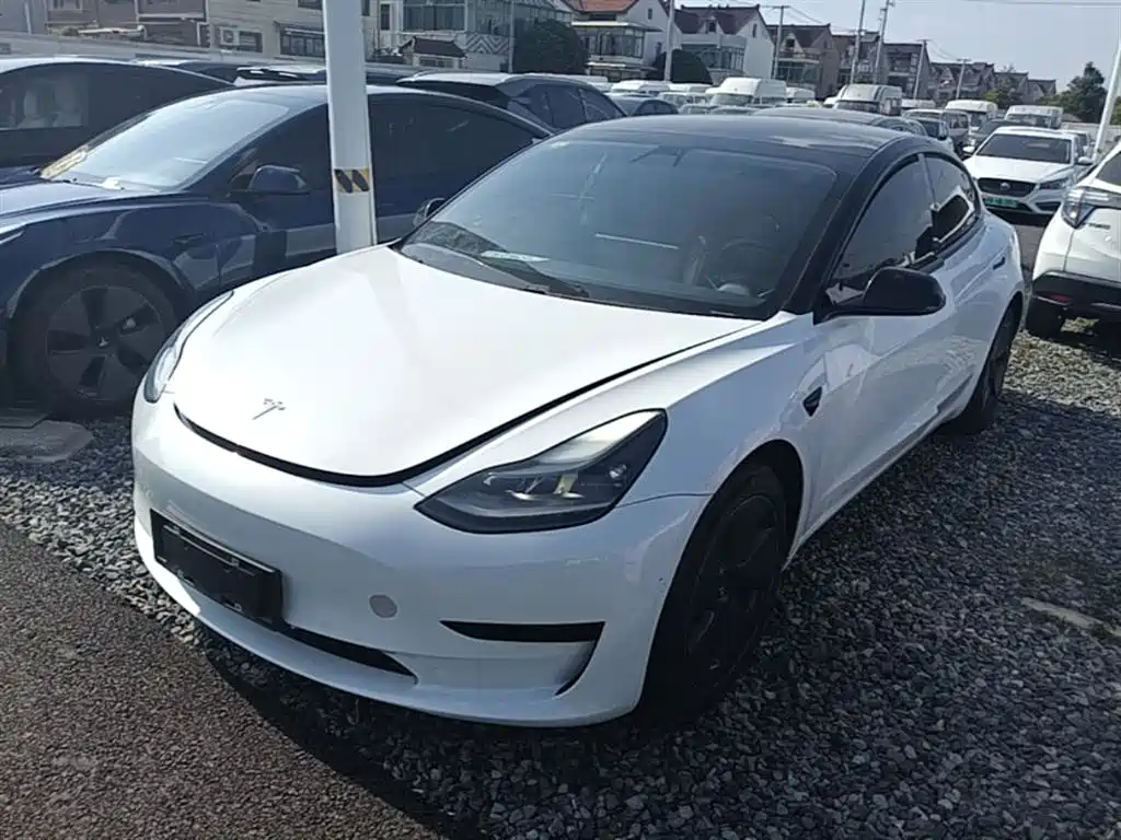 Tesla Model 3 2021 Facelift Standard Range RWD Upgrade 3D1
