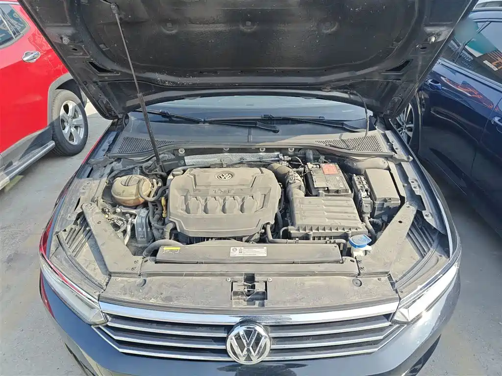 Volkswagen Magotan 2019 330TSI DSG Luxury China V фото 16