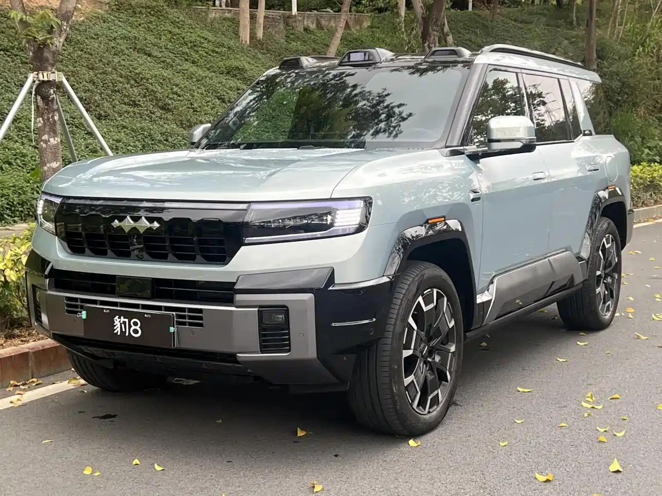 FANG CHENG BAO LEOPARD 8