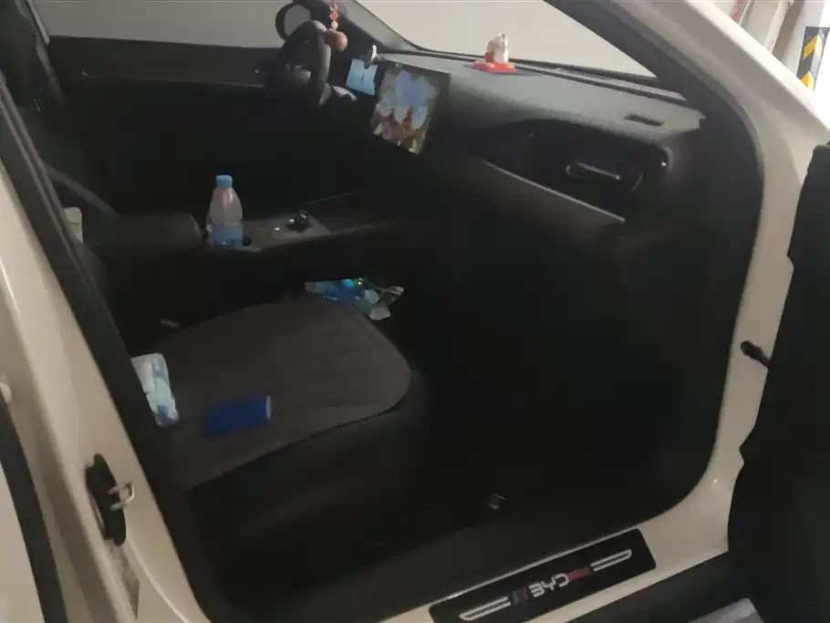 BYD Seal 06 New Energy 2024 DM-i 80KM Prestige фото 8