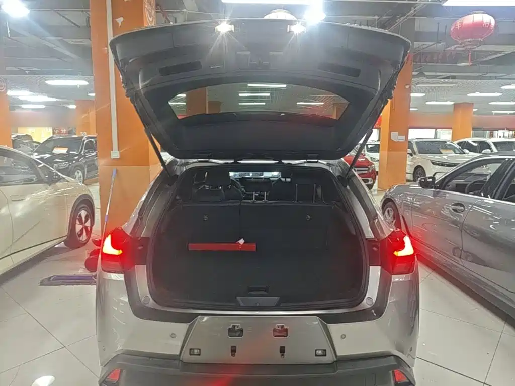 Lexus UX 2021 2020 260h Explore Fun Edition