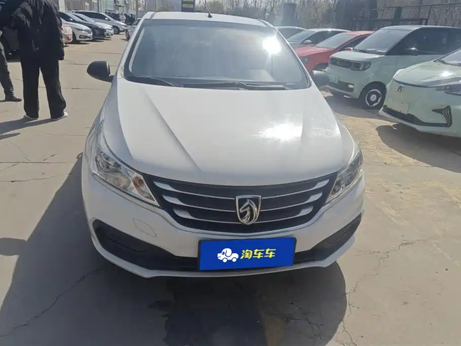 BAOJUN 310