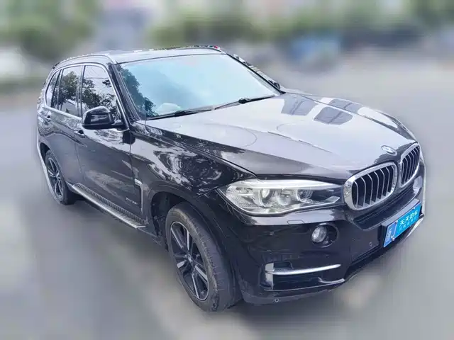 BMW X5 (Import) 2017 xDrive35i Elegance — фото 3