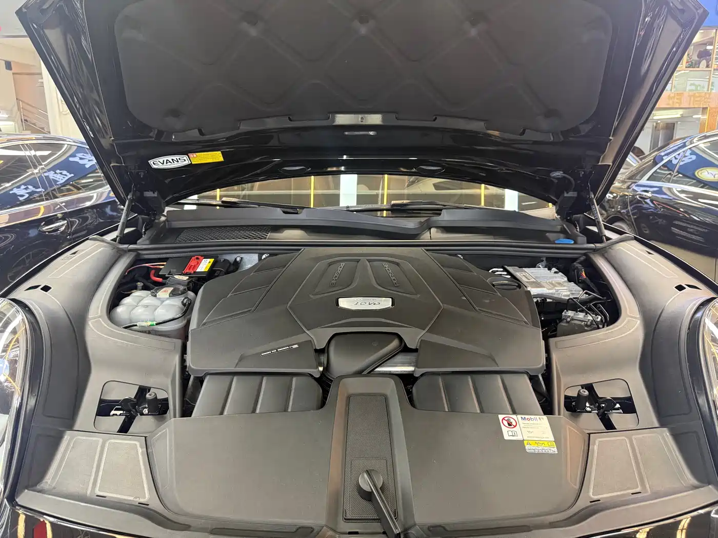 Porsche Cayenne 2023 Cayenne 3.0T Platinum Edition фото 17