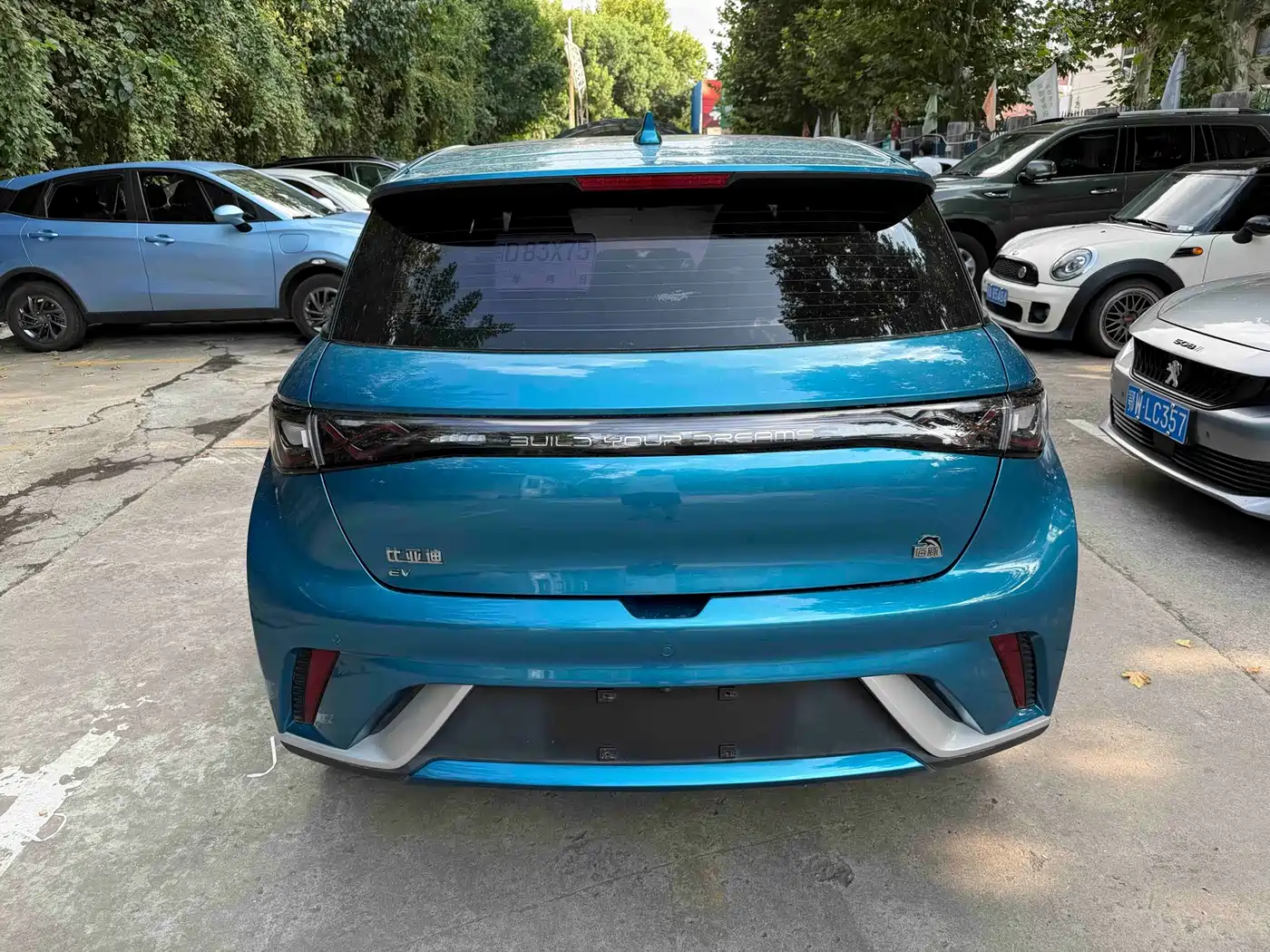 BYD Dolphin 2022 2021 Model 405km Fashion Edition