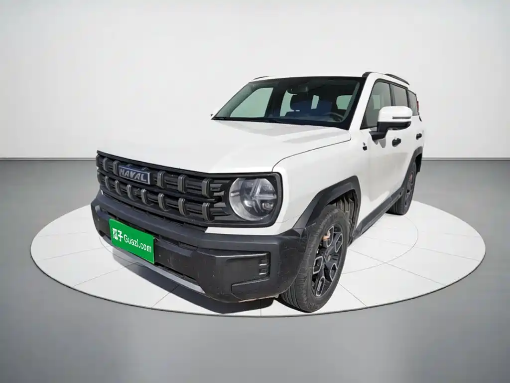 2023 Haval Cool Dog