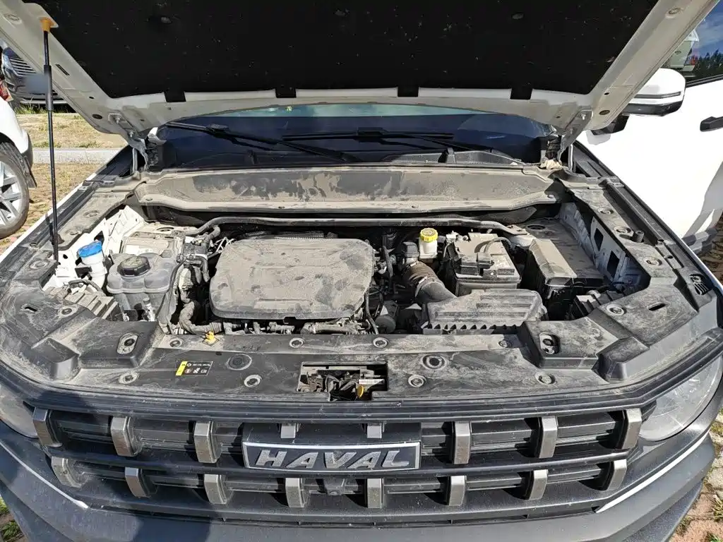 Haval Cool Dog 2023 2022 1.5T DCT 4WD Adventure Edition