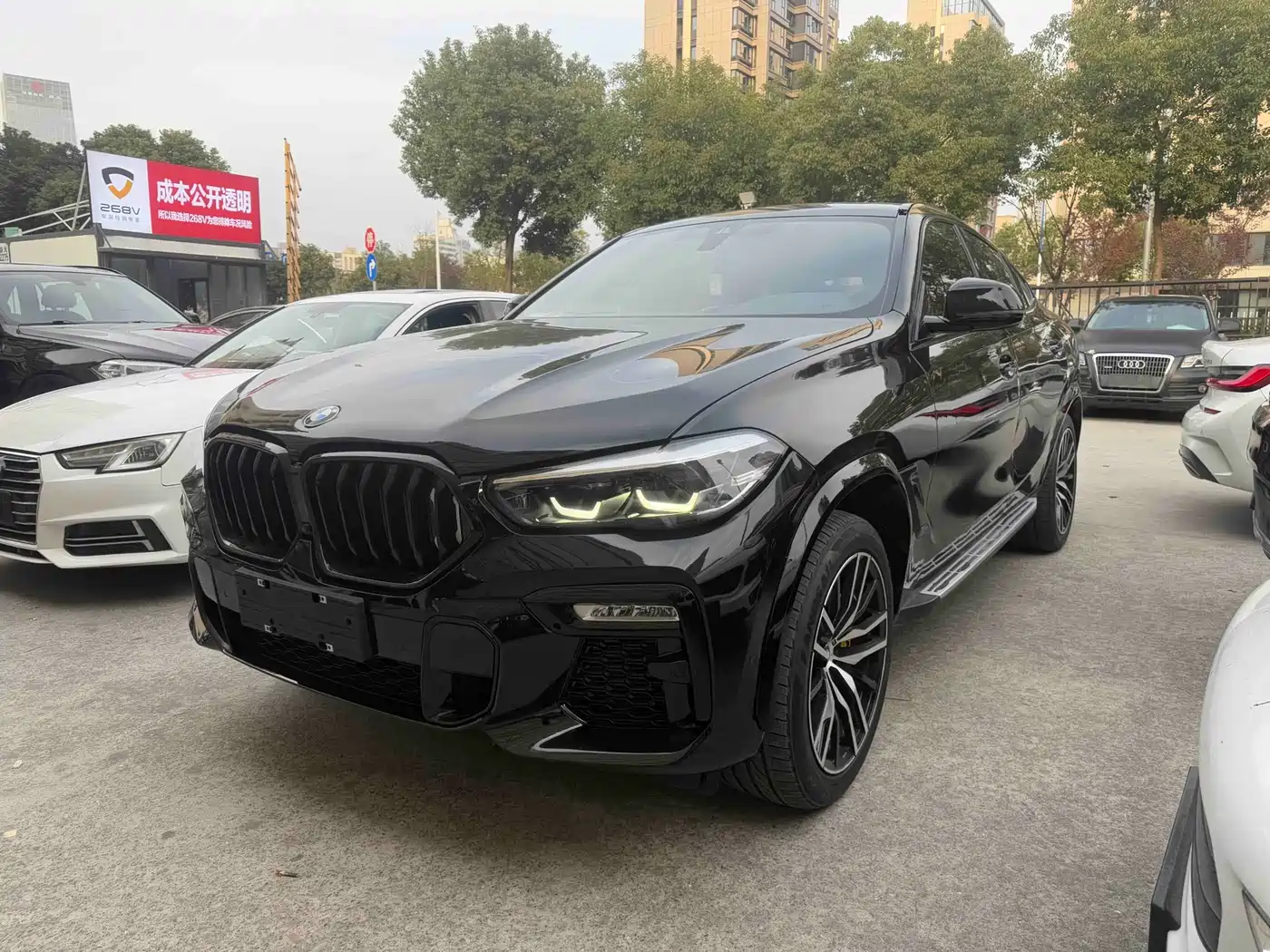 BMW X6