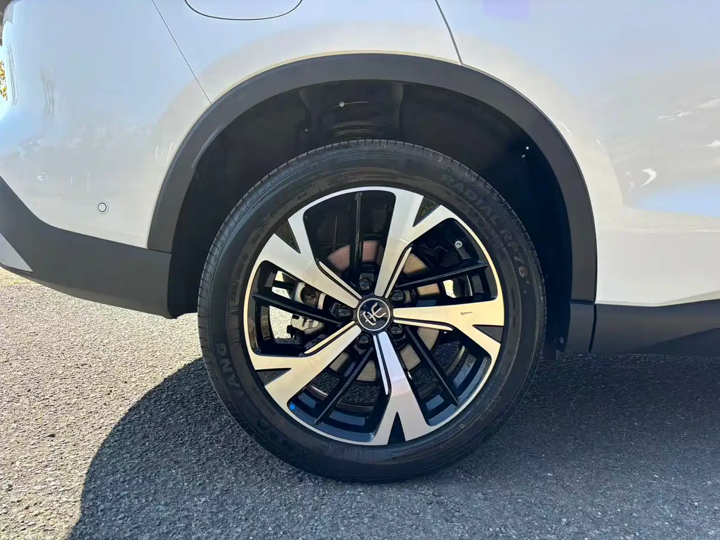 BYD SONGJIANG NEW ENERGY