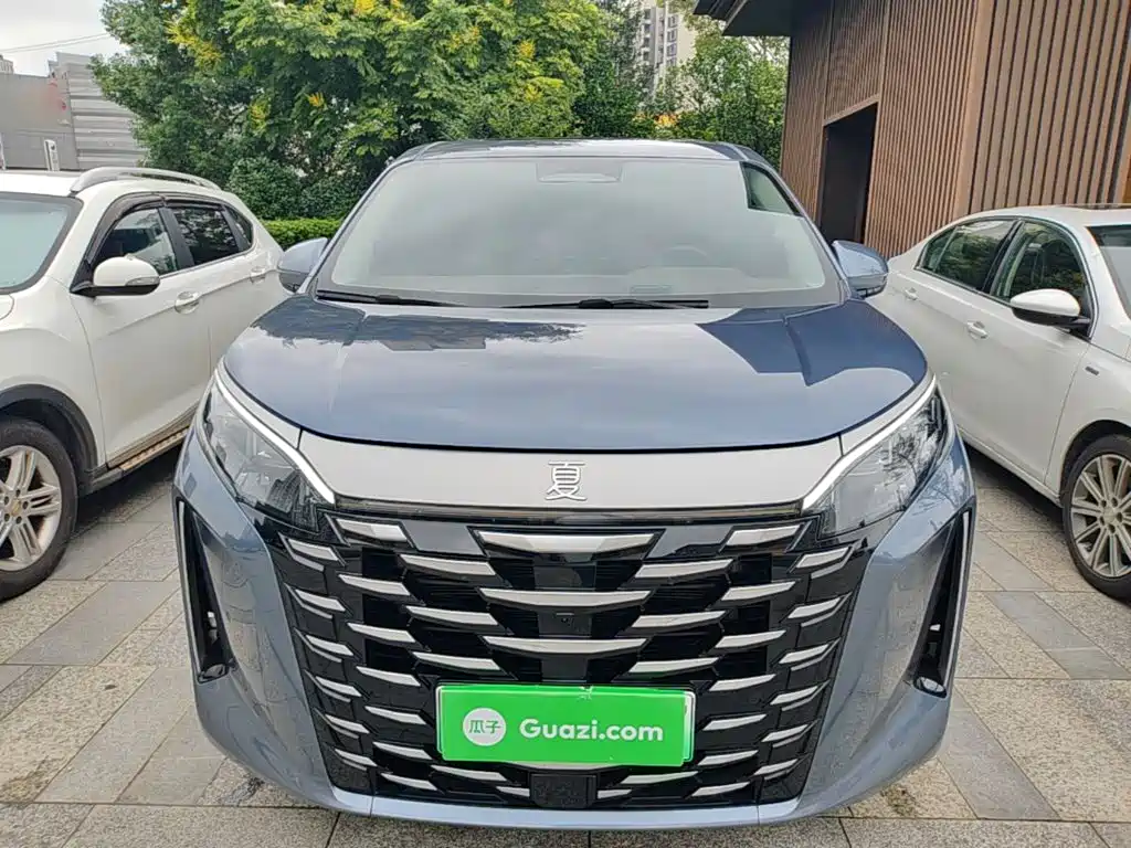 2025 BYD Xia