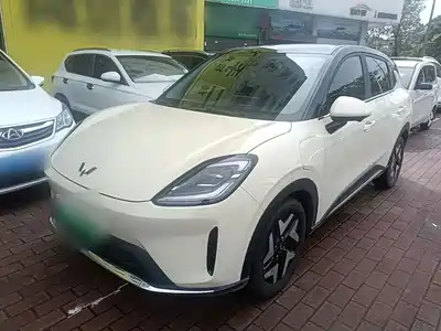 Wuling Bingo S