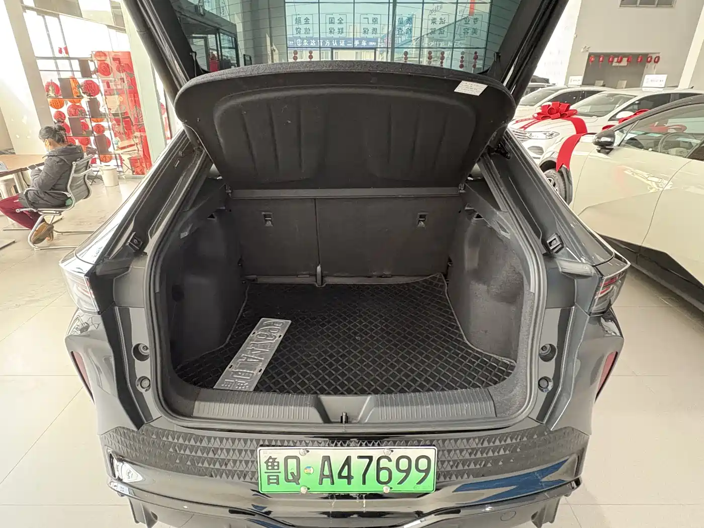 VOLKSWAGEN WITH THE CROWD 06