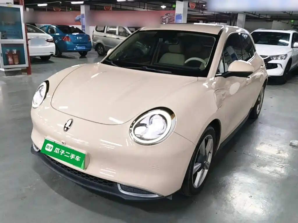 Ora Good Cat 2022 2022 400km Standard Range Premium LFP