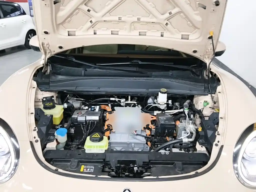Ora Good Cat 2022 2022 400km Standard Range Premium LFP