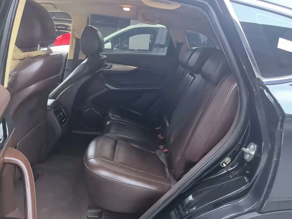 Leopaard Mattu 2019 2018 1.6T GDI DCT Luxury