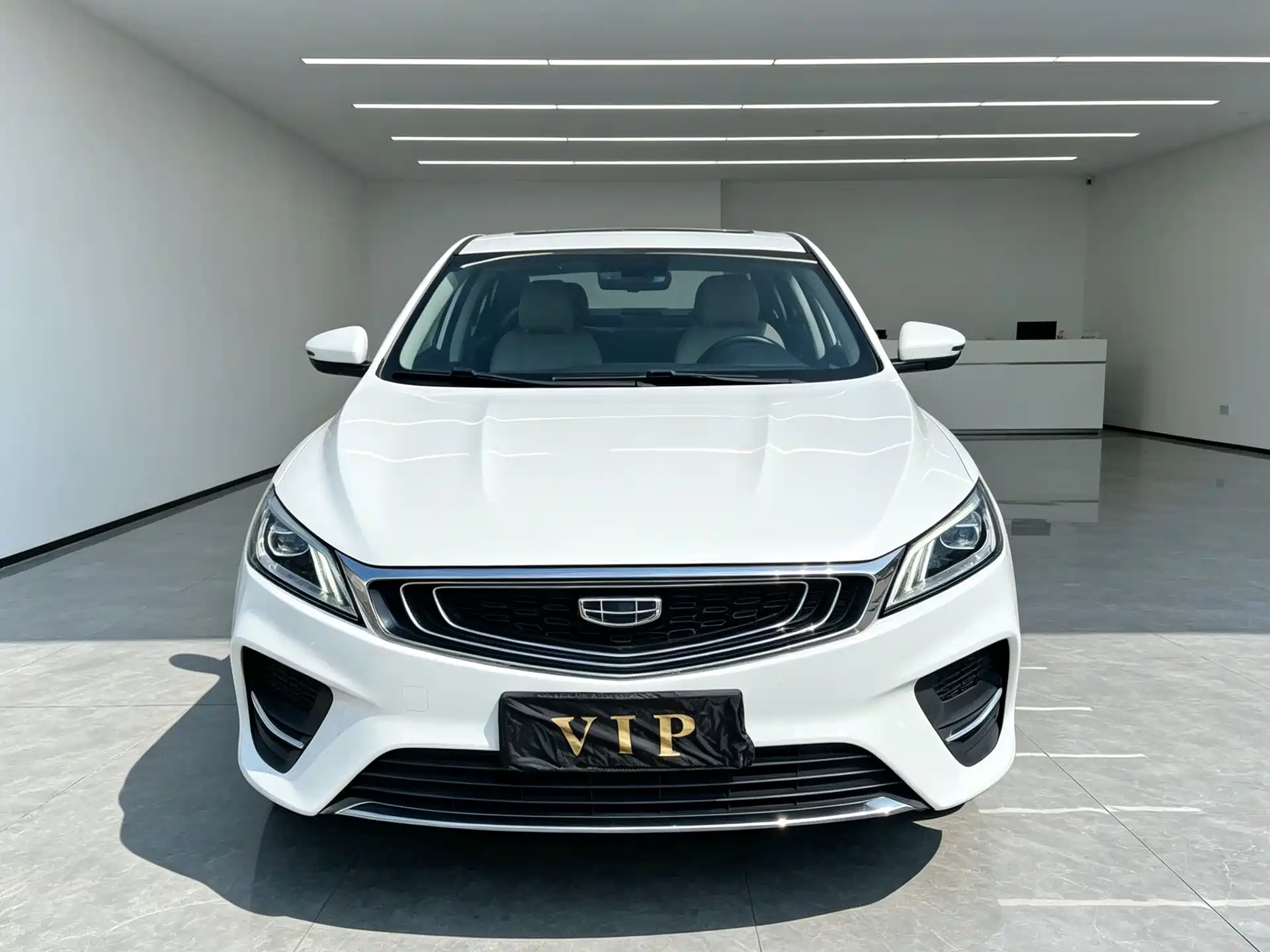 Фото 3 - Geely Binrui