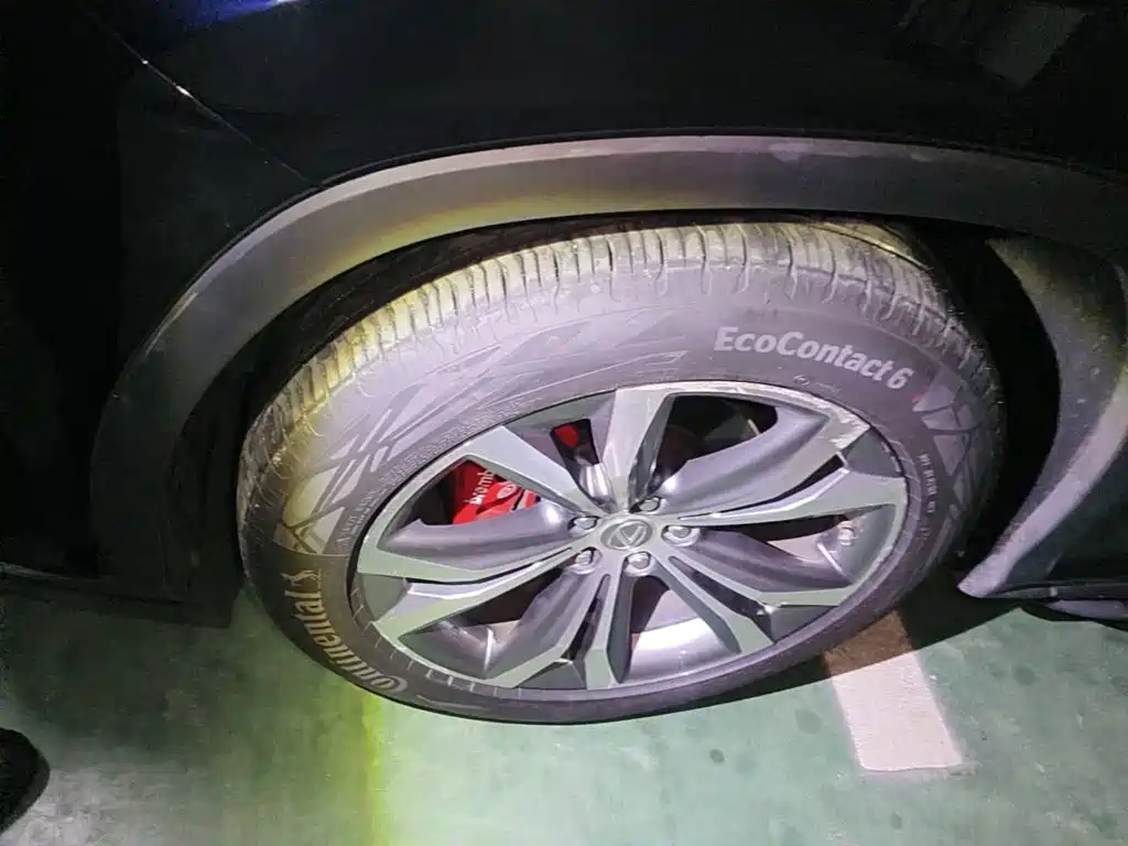 Фото 6 - Lexus RX