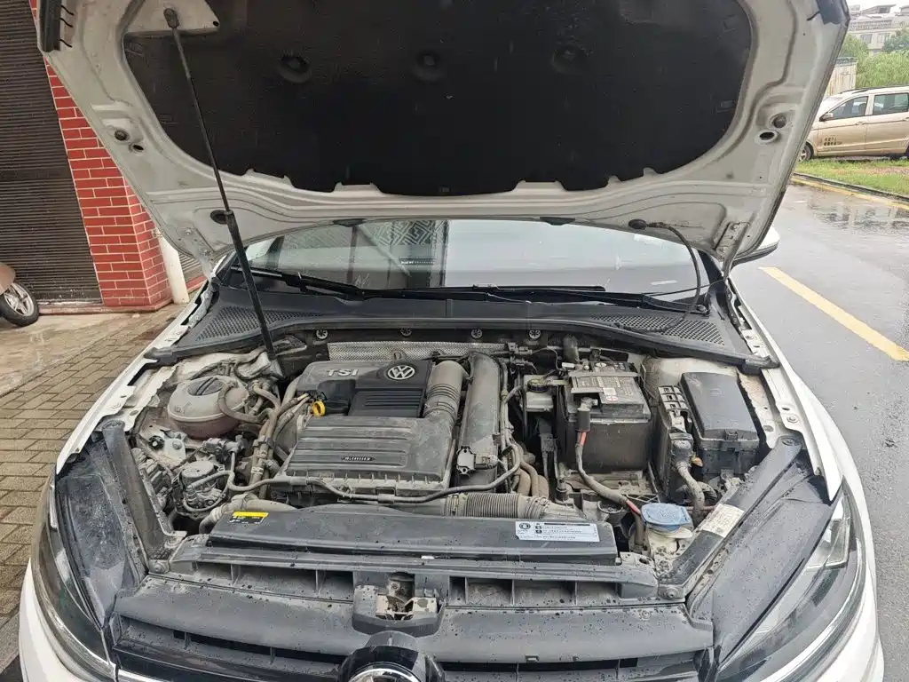 Фото 16 - Volkswagen Golf