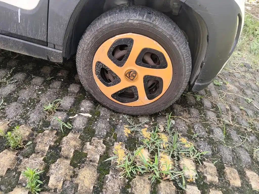 Baojun E100 2019 2019 250KM Smart Edition