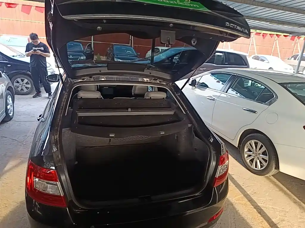 Škoda Octavia 2015 1.6L Automatic逸俊版 фото 19
