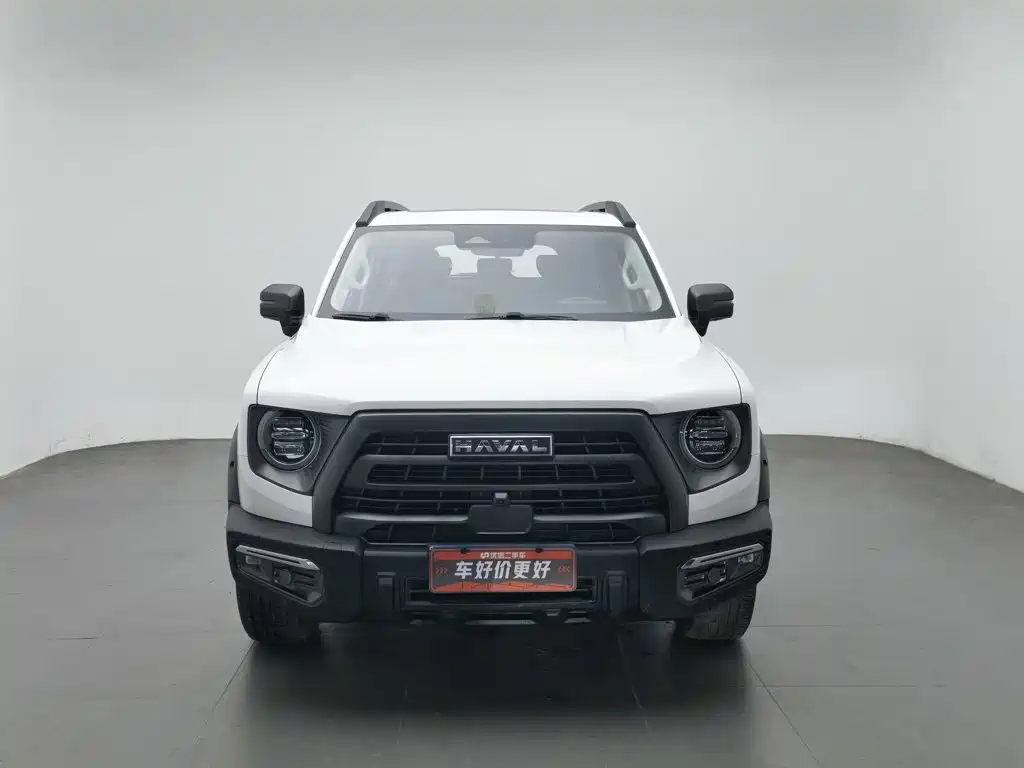 Фото 3 - Haval Dargo