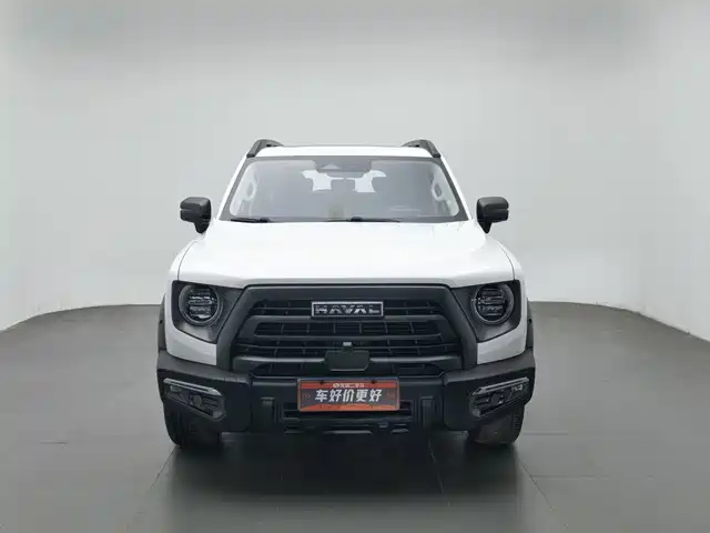 Haval Big Dog 2024 2.0T DCT Chinese Rural Dog Edition — фото 3