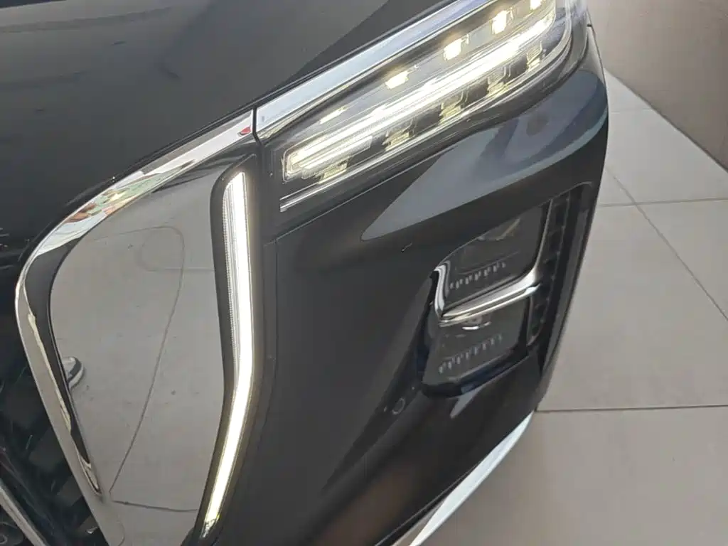 Photo 24 - Hongqi H5 PHEV