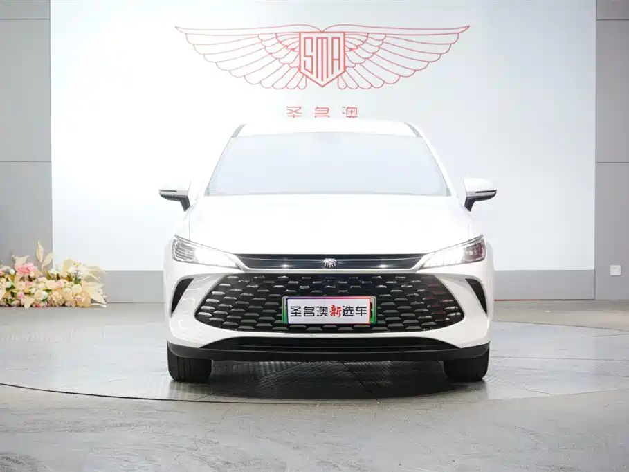 BYD Qin PLUS 2025 DM-i Smart Drive 55KM Leader фото 4