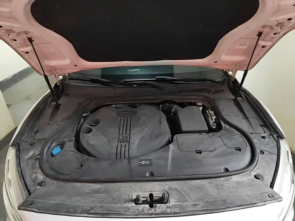 Geely Borui 2020 2020 Facelift 1.8T Pilot Edition