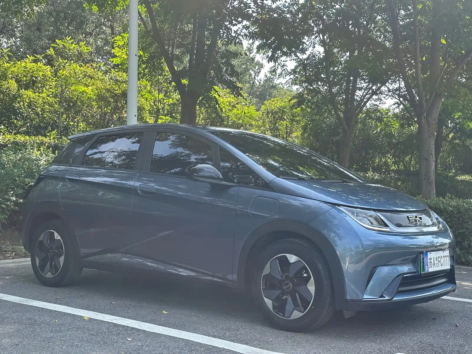 Фото 3 - BYD Dolphin