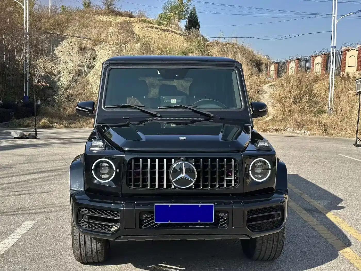 Mercedes-Benz G-Class 2011 2010 G 500