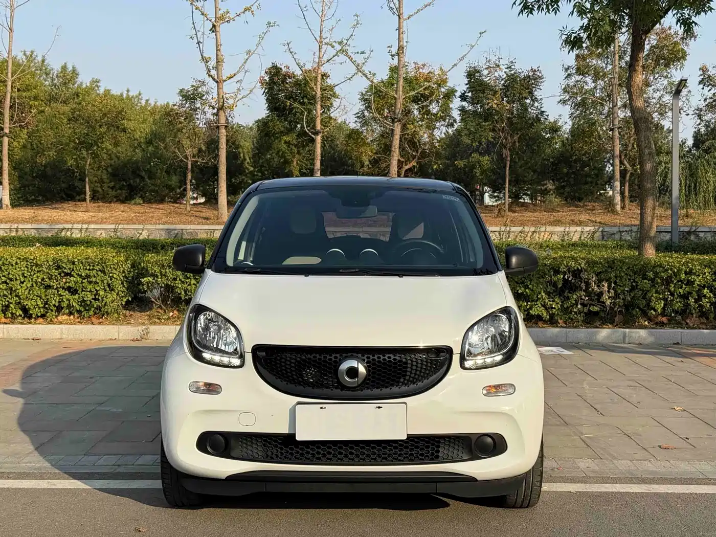 smart forfour 2018 2018 1.0L 52kW Passion Edition