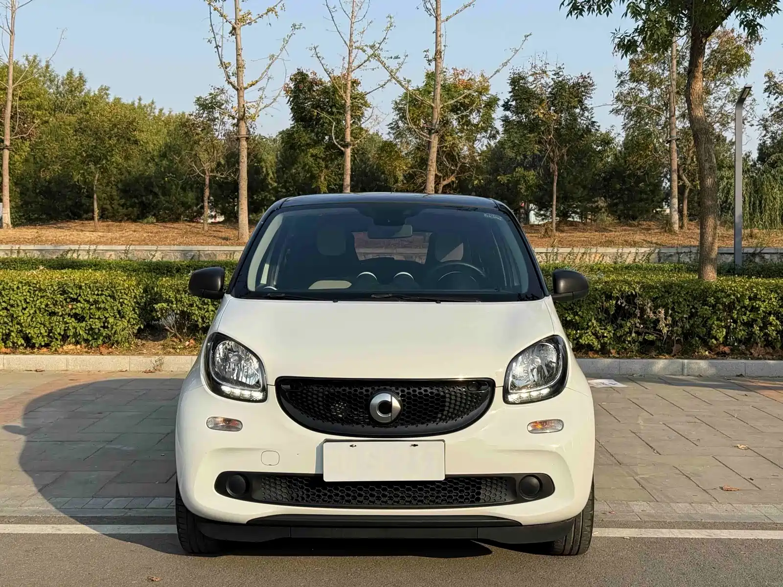 Фото 2 - smart forfour