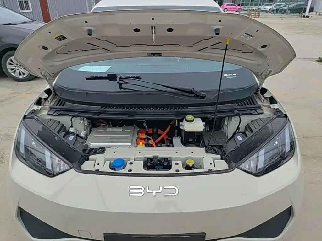 BYD Seagull 2026 2025 Smart Drive Edition 305km Vitality Version