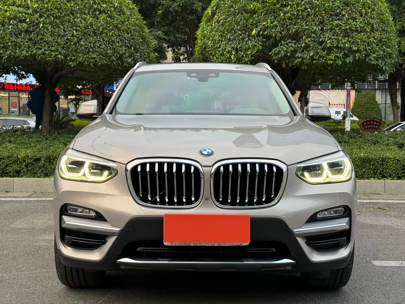 BMW X3 2018 xDrive25i Luxury Package China VI фото 2