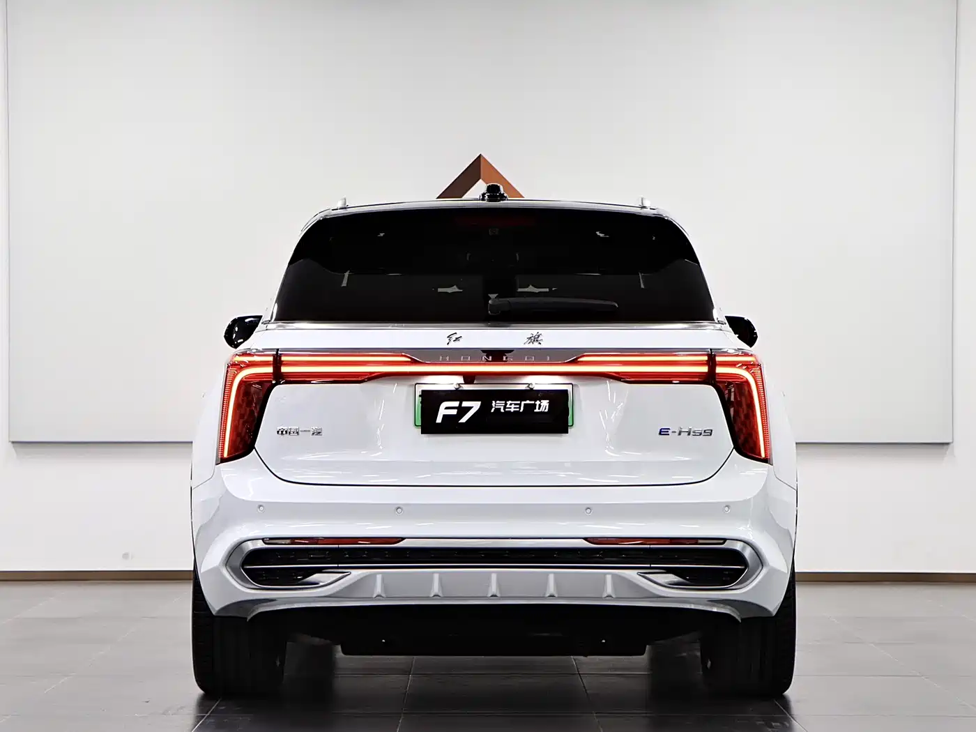 Hongqi E-HS9 2022 660km Qi Chang Edition (6-seater) фото 5