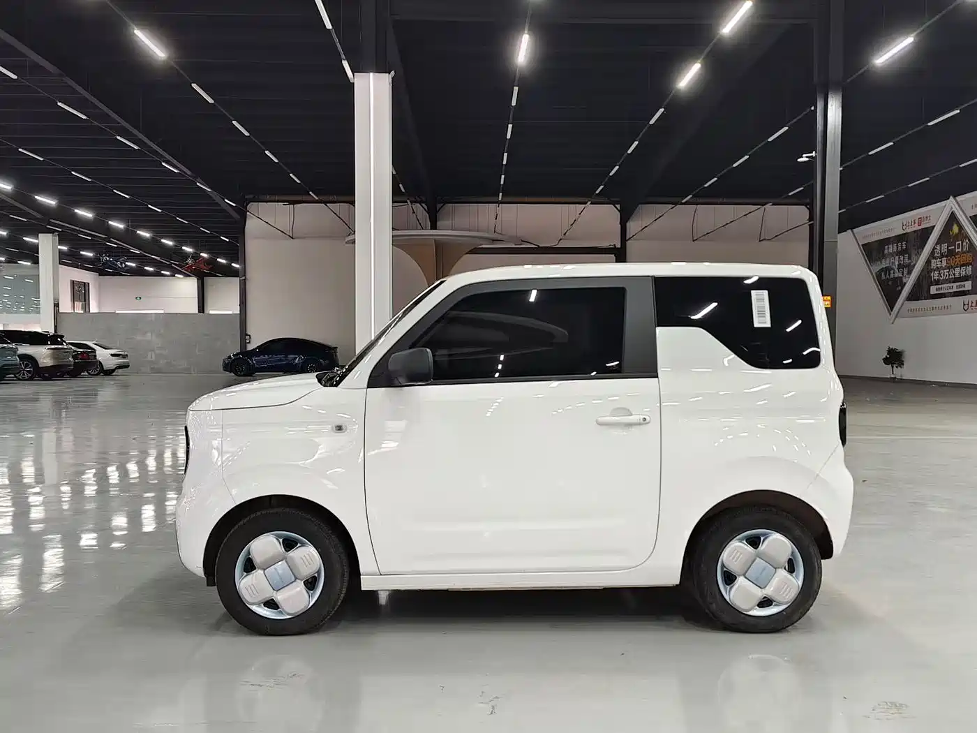 Geely Galaxy Panda 2025 2024 Panda mini 200km Endurance Bear