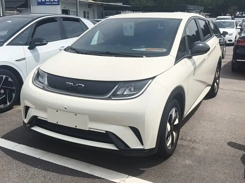 BYD Dolphin 2024
