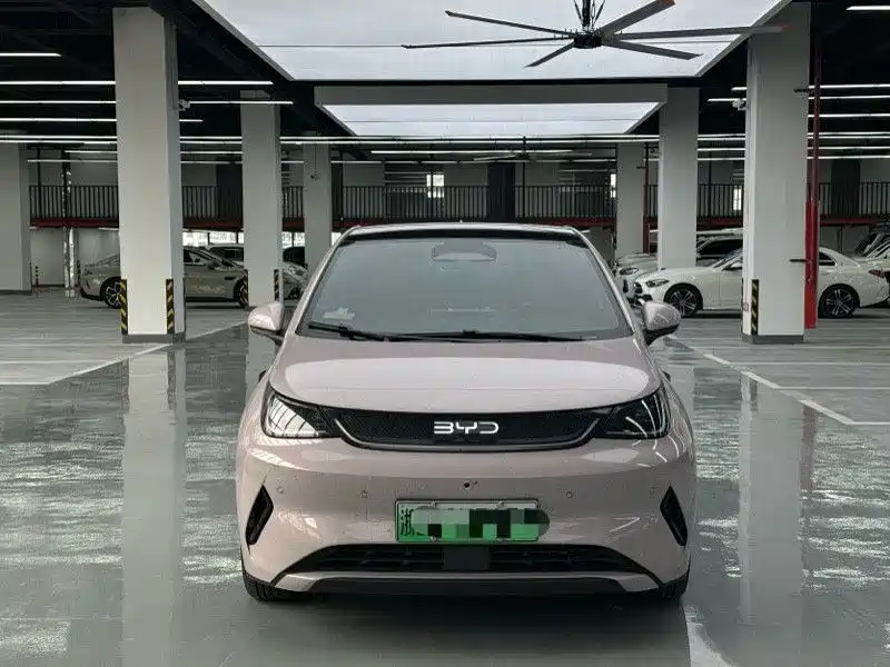BYD Dolphin 2025 2025 Smart Drive Edition 410km Fashion Version