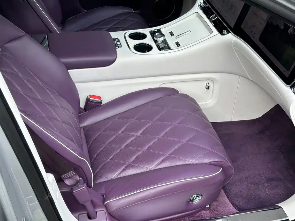 Zunjie S800 2026 2025 Range Extender Starlight Executive 4-Seater