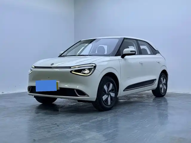Dongfeng Nano 01 Beloved, 330 Pro