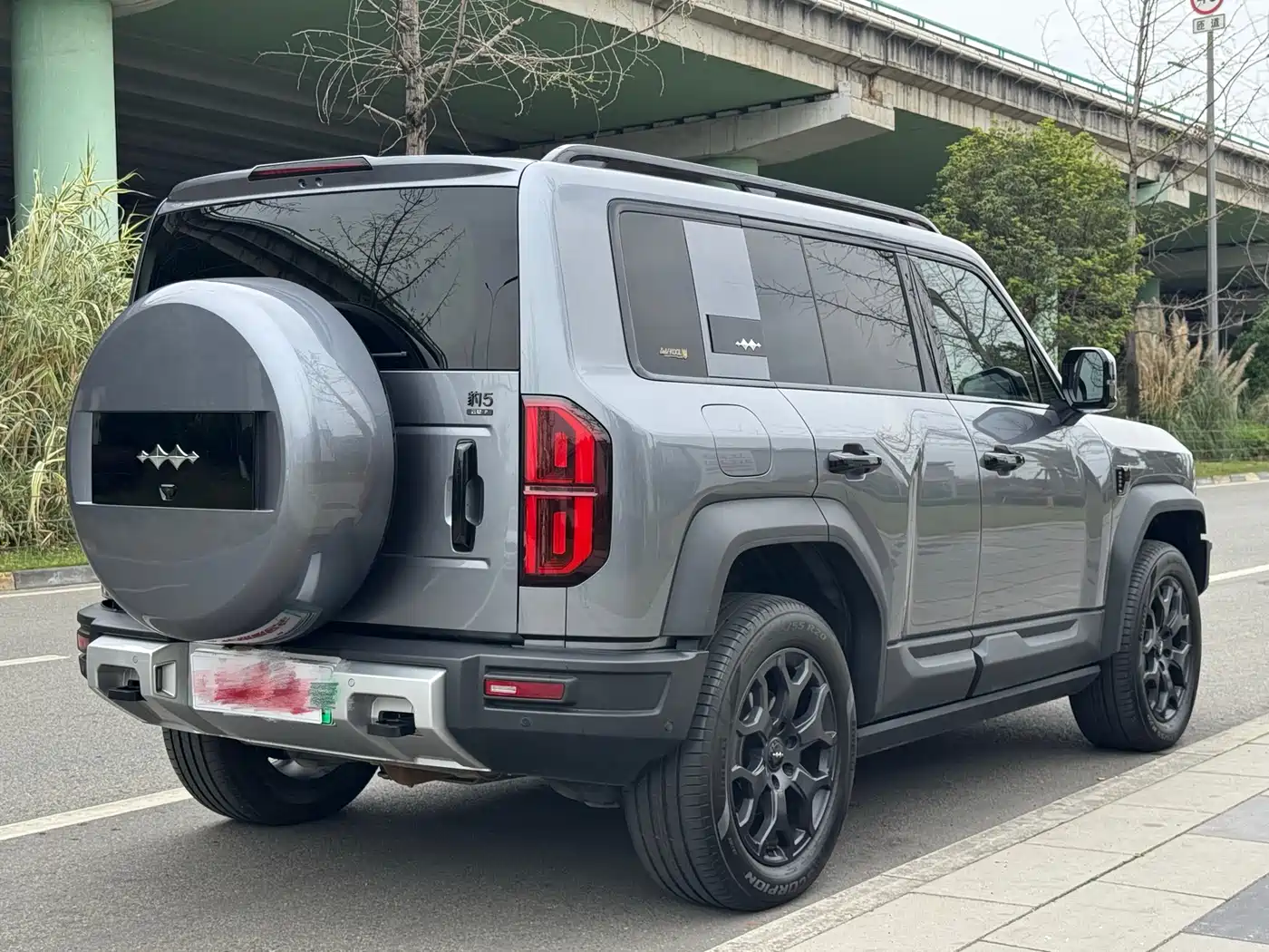 FANG CHENG BAO LEOPARD 5