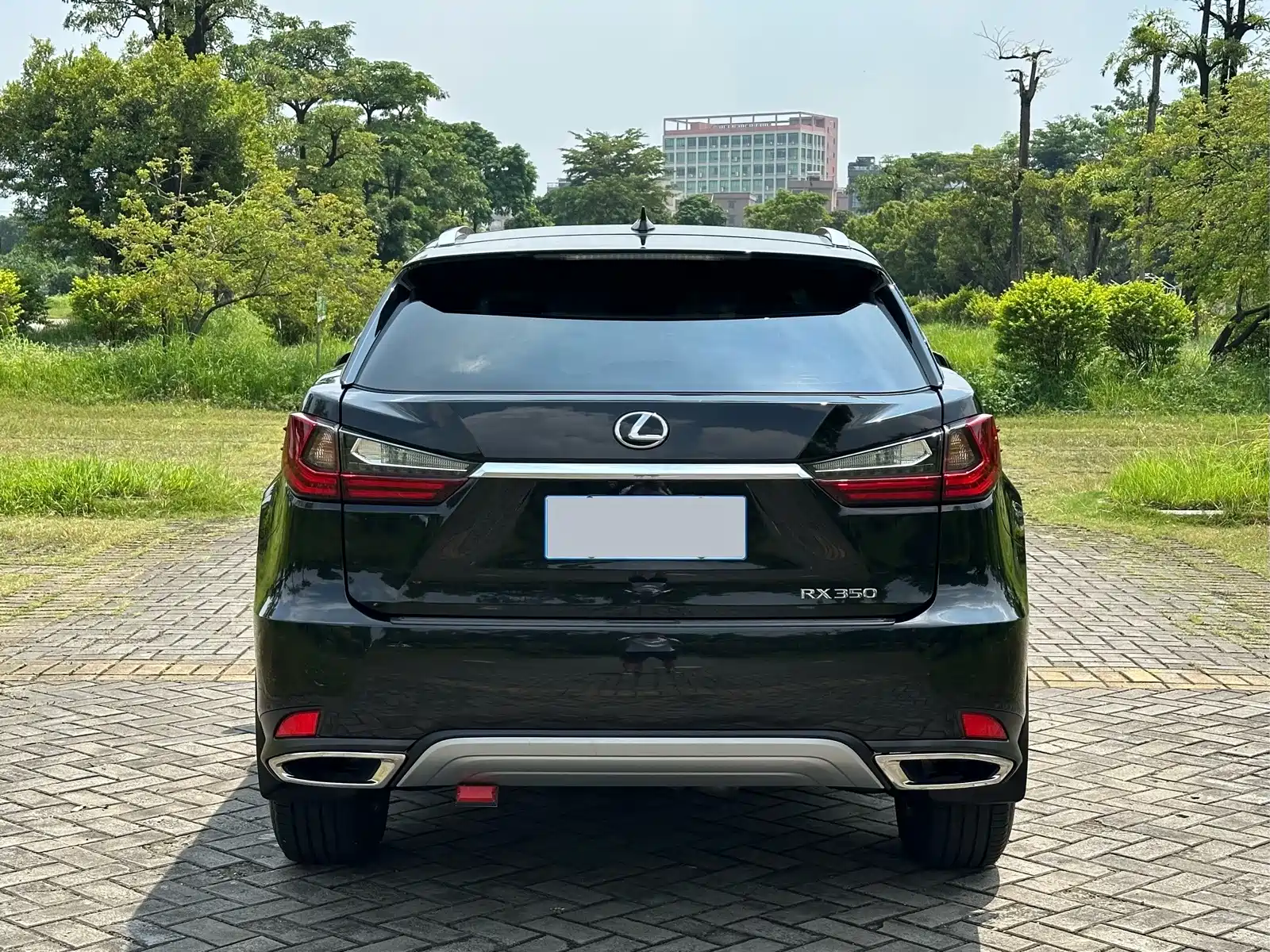 Фото 5 - Lexus RX