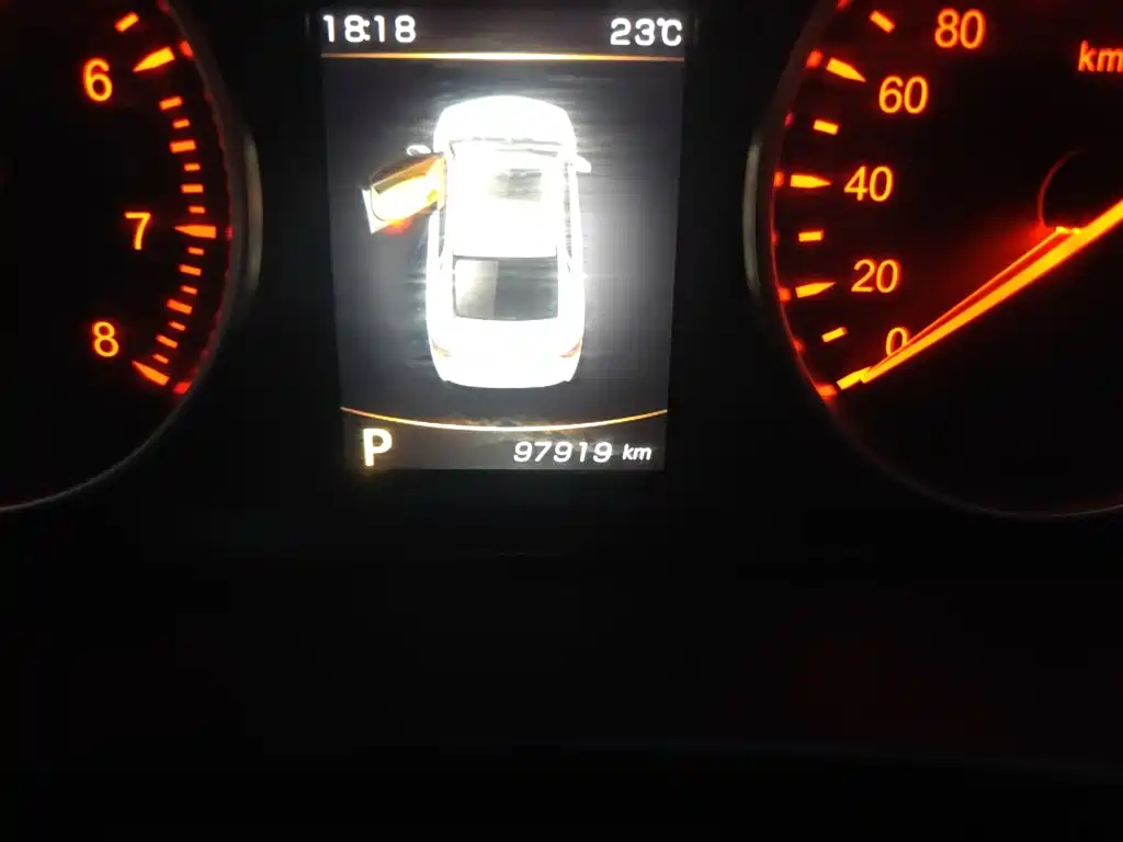 Фото 7 - Geely Borui