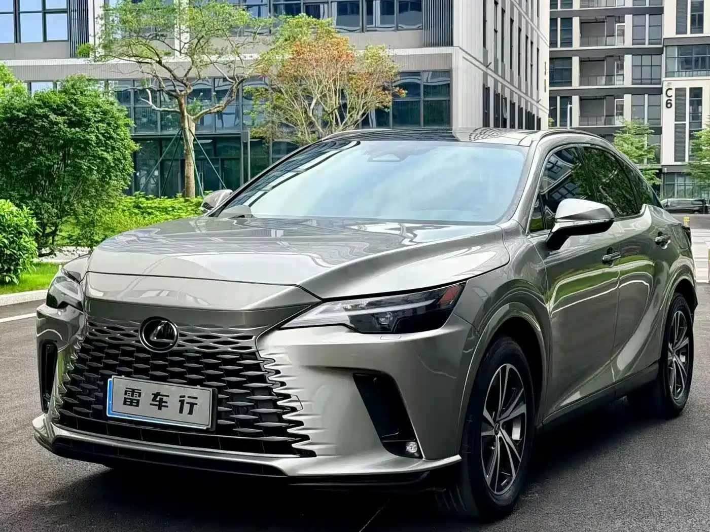 LEXUS RX