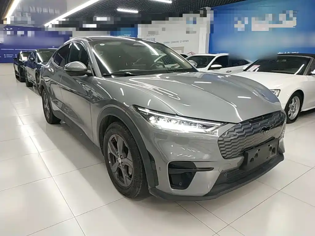 Ford Mustang Mach-E 2022 2021 Leap World RWD (Standard Range)
