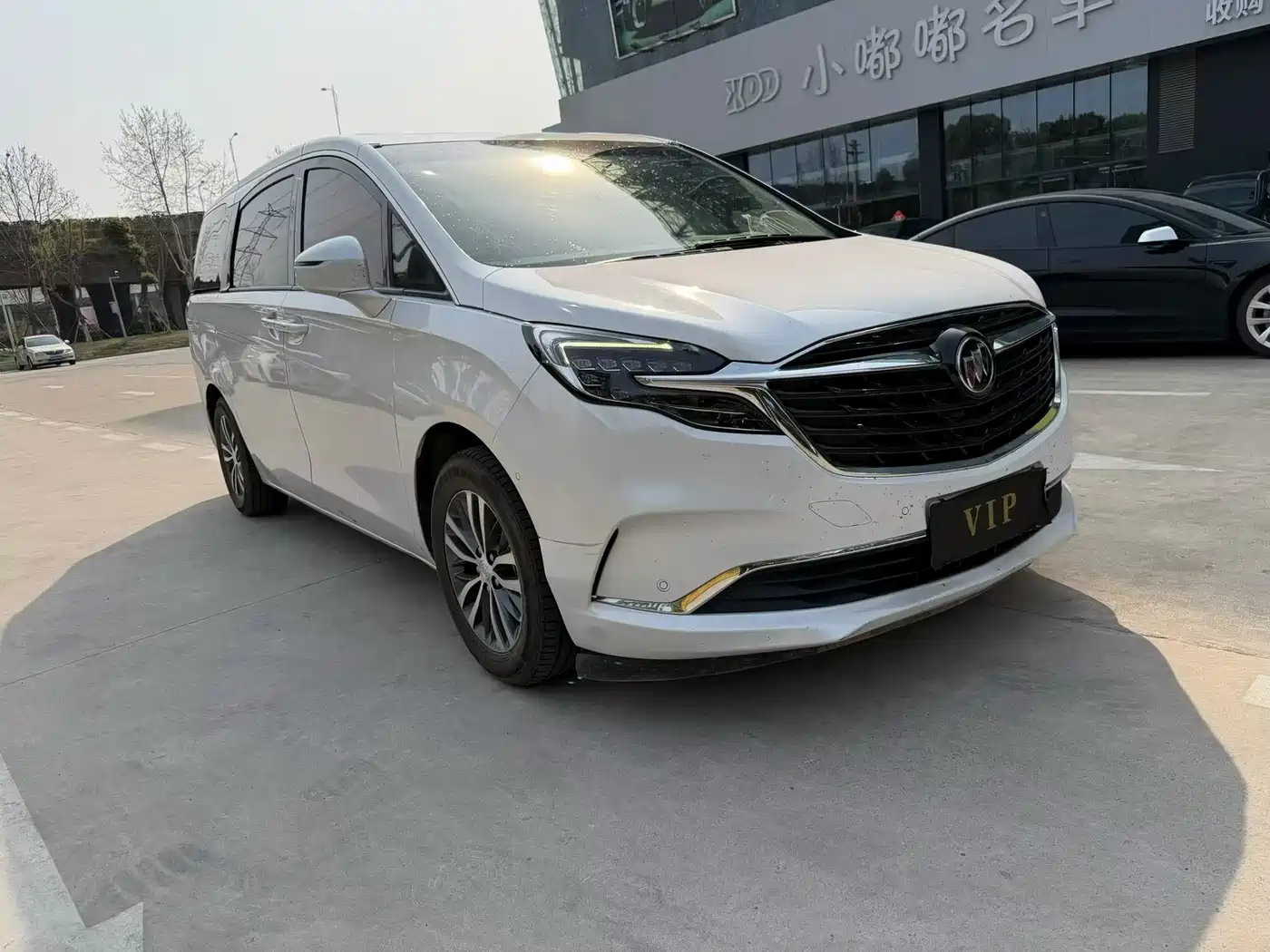 Buick GL8 2022 ES Landmark 653T Premium