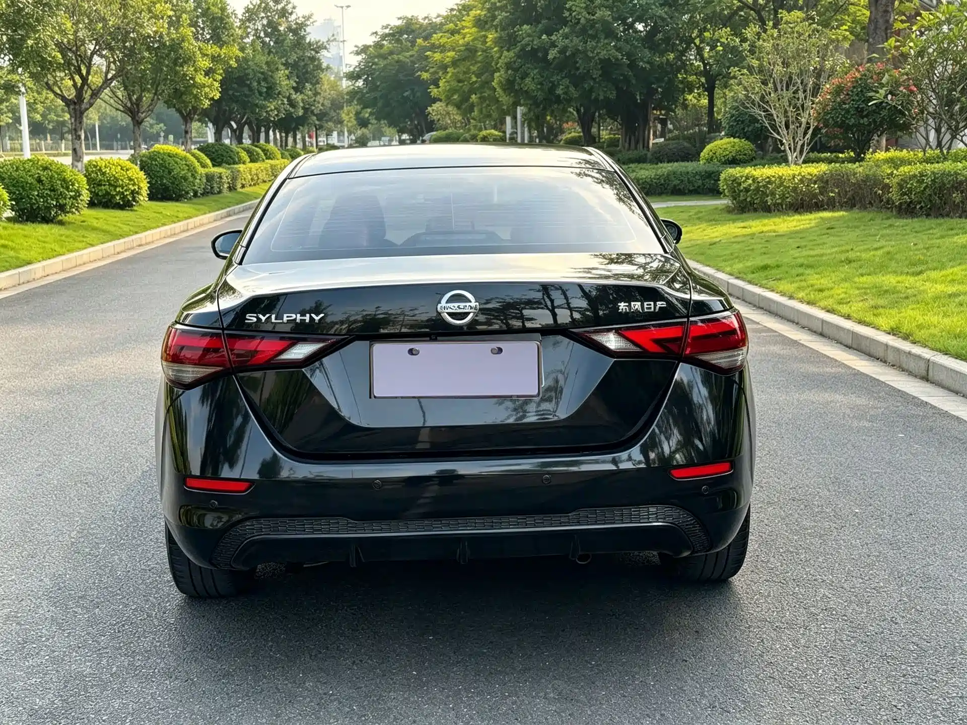 Фото 9 - Nissan Sylphy