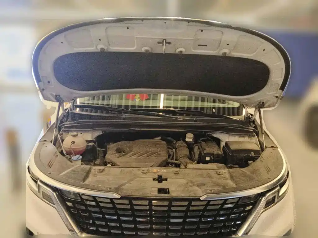 Kia Carnival 2021 2021 2.0T Flagship Edition