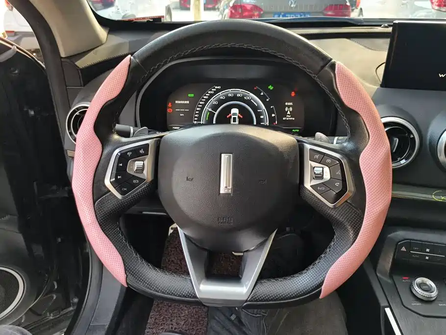 WEY P8 2019 2018 2.0T Flagship Model